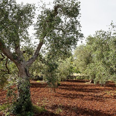 Villetta Da Zio Marcello Ostuni Buitenkant foto