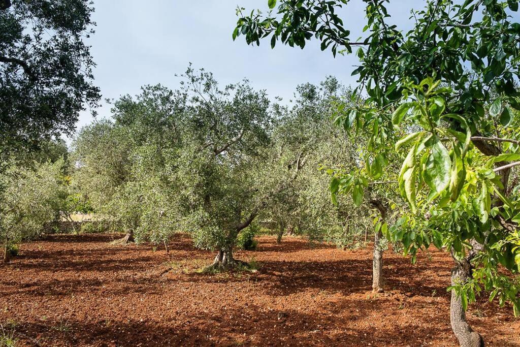 Villetta Da Zio Marcello Ostuni Buitenkant foto