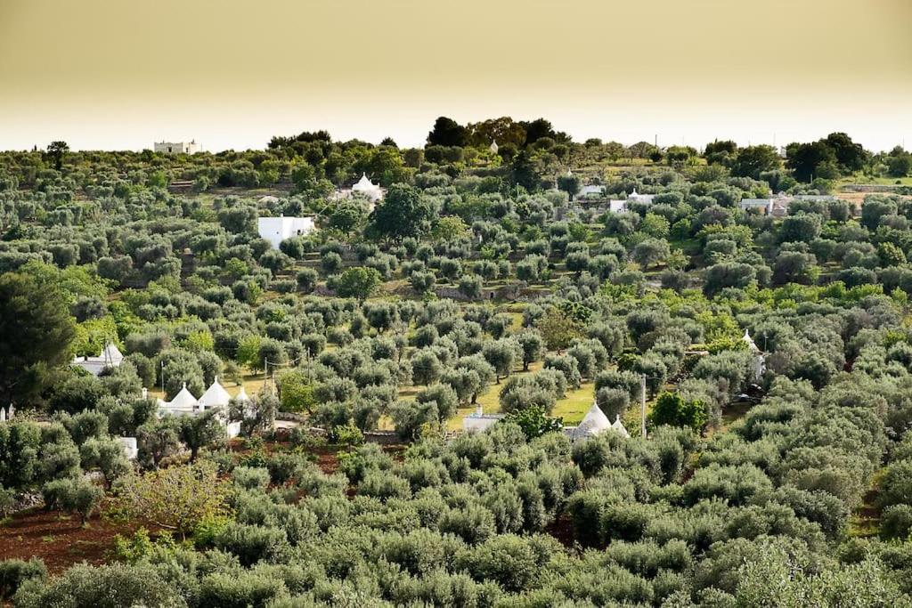 Villetta Da Zio Marcello Ostuni Buitenkant foto