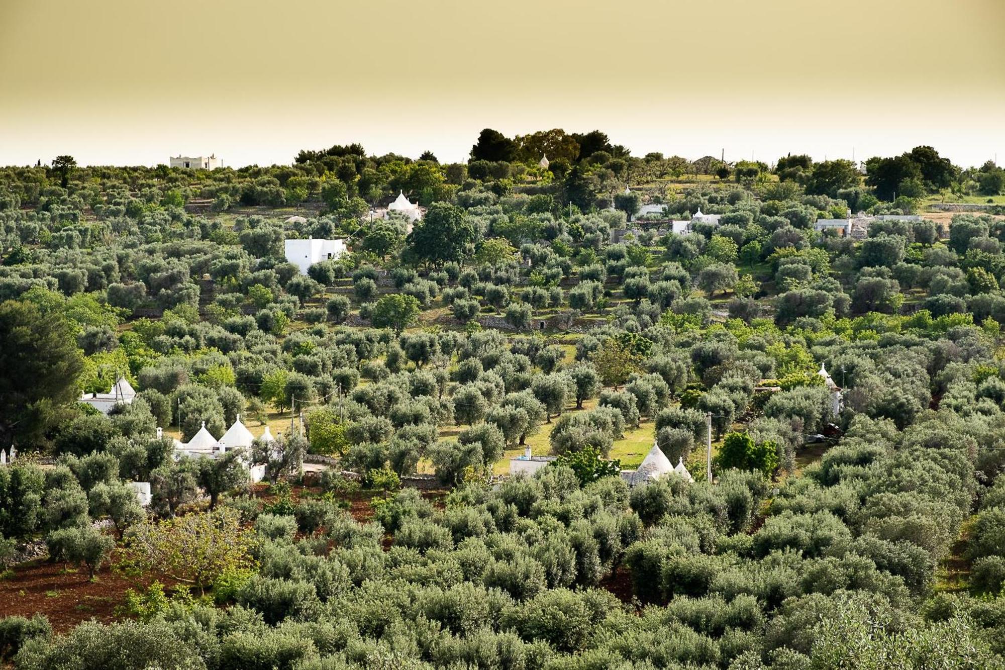 Villetta Da Zio Marcello Ostuni Buitenkant foto